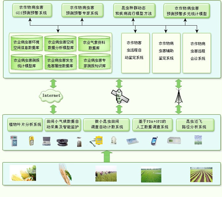 病虫害智能检测系统